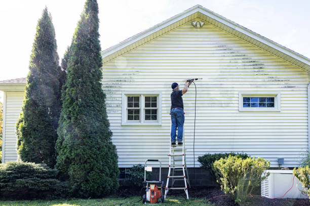 Best Driveway Pressure Washing  in Waawa, HI