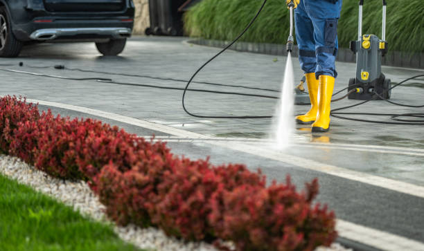 Best Patio and Deck Pressure Washing  in Waawa, HI